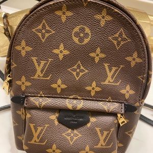 LV palm spring mini